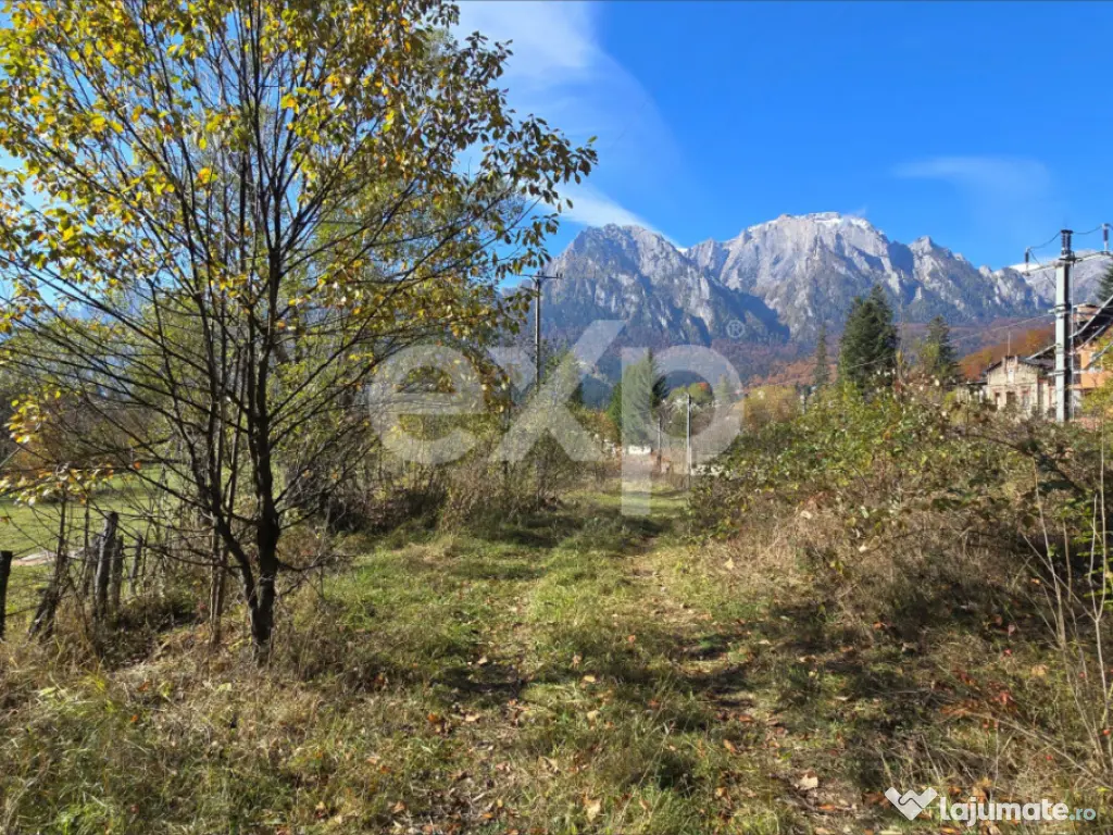 Teren intravilan în Bușteni, cu vedere spectaculoasă spre