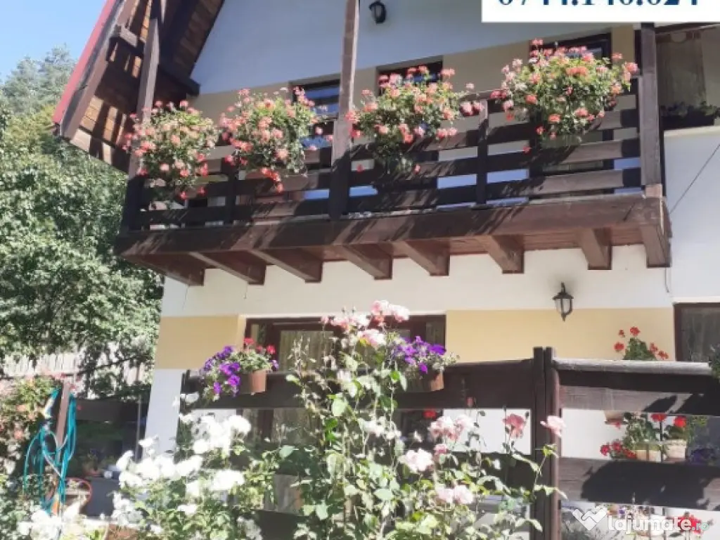 Casă, Bistrița, 1000 mp teren. Preț 590 eur/ lună 