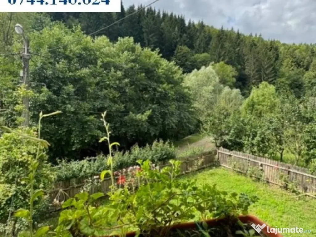 Casă, Bistrița, 1000 mp teren. Preț 590 eur/ lună 