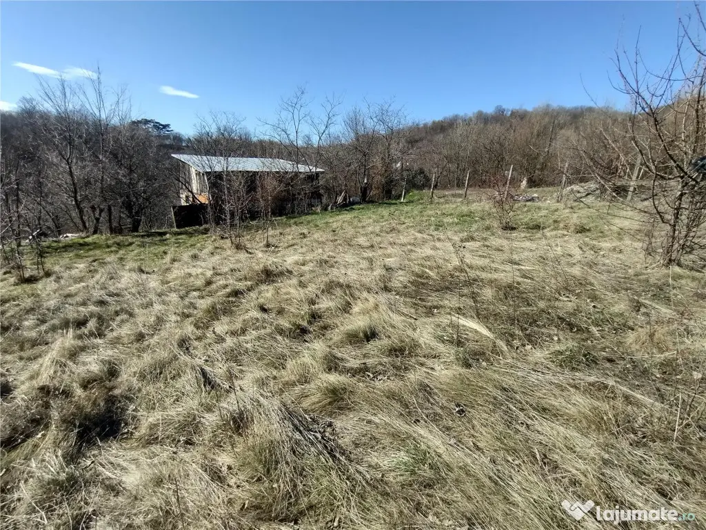 Oravita, Teren Intravilan, 3,8 Euro MP, In Oras, Usor Negoc 