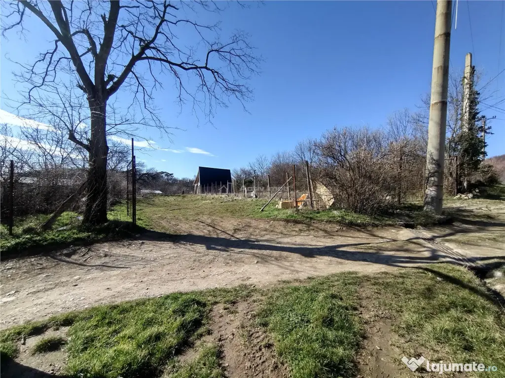 Oravita, Teren Intravilan, 3,8 Euro MP, In Oras, Usor Negoc 