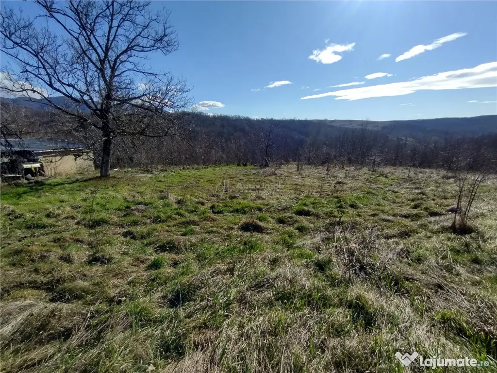 Oravita, Teren Intravilan, 3,8 Euro MP, In Oras, Usor Negoc 