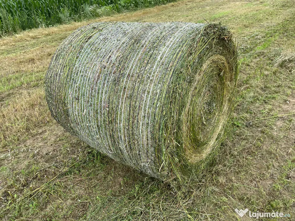 Baloti lucerna in Botosani infoliati (semifân) și fan eco 