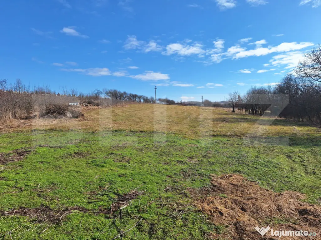 Teren 4400 mp, autorizatie, utilitati, zona Salistea Noua
