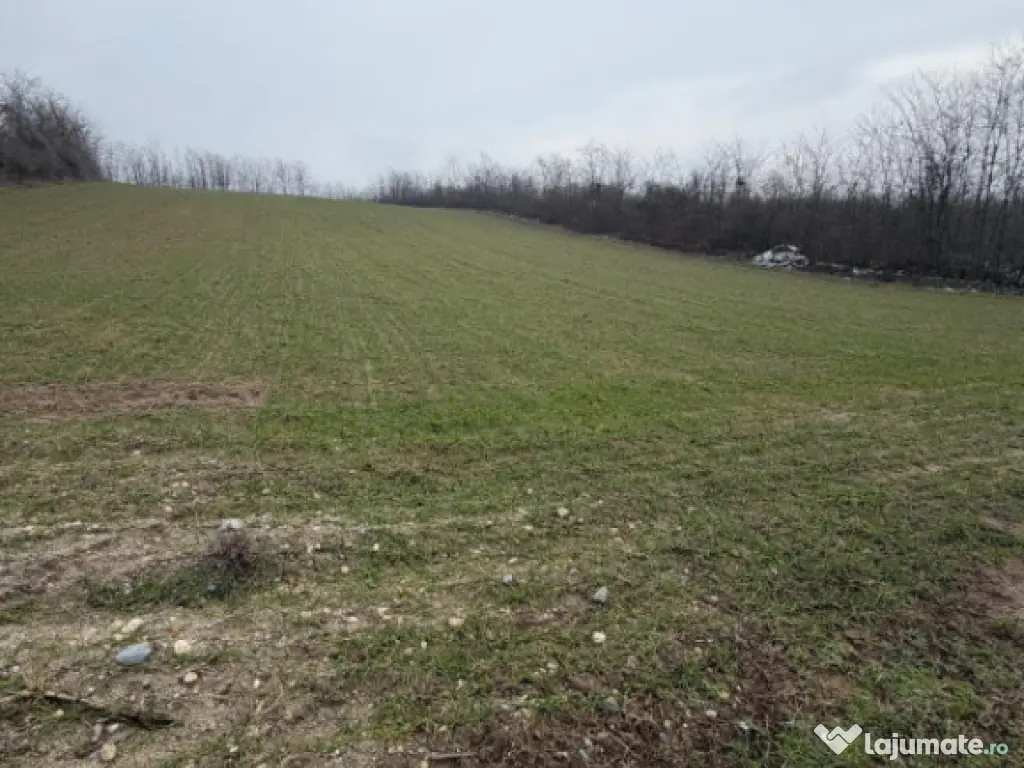 Teren de 6700mp, la intrarea in Filiasi ,la 50m de str. Raco