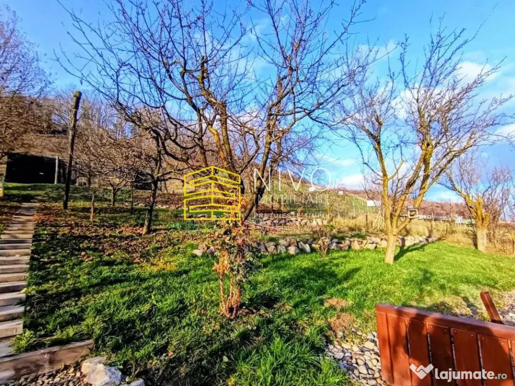 Casă singur în curte – Curteni 