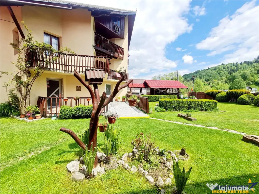 FILM! Moieciu de Jos, Bran, pensiune in conditii apreciabil 