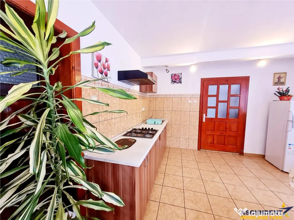 FILM! Moieciu de Jos, Bran, pensiune in conditii apreciabil 