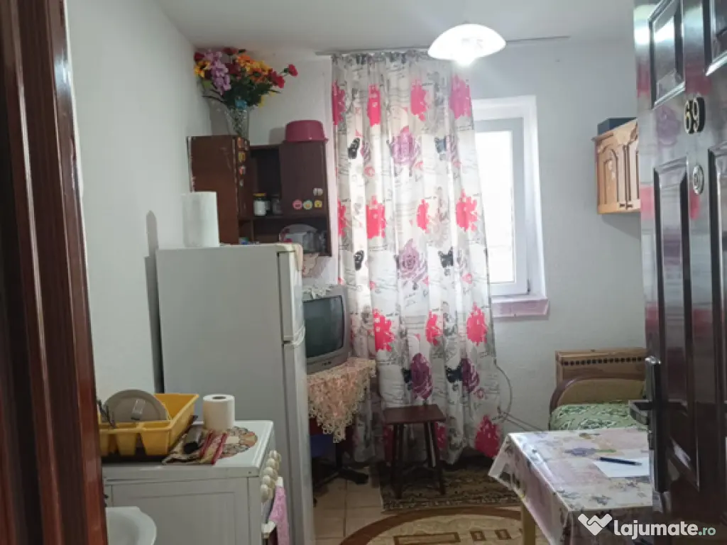 Camera de camin Carierul Florilor 