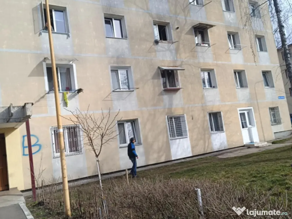 Camera de camin Carierul Florilor 