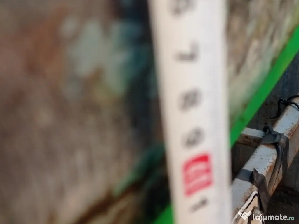 bărci cu motor și peridoc 