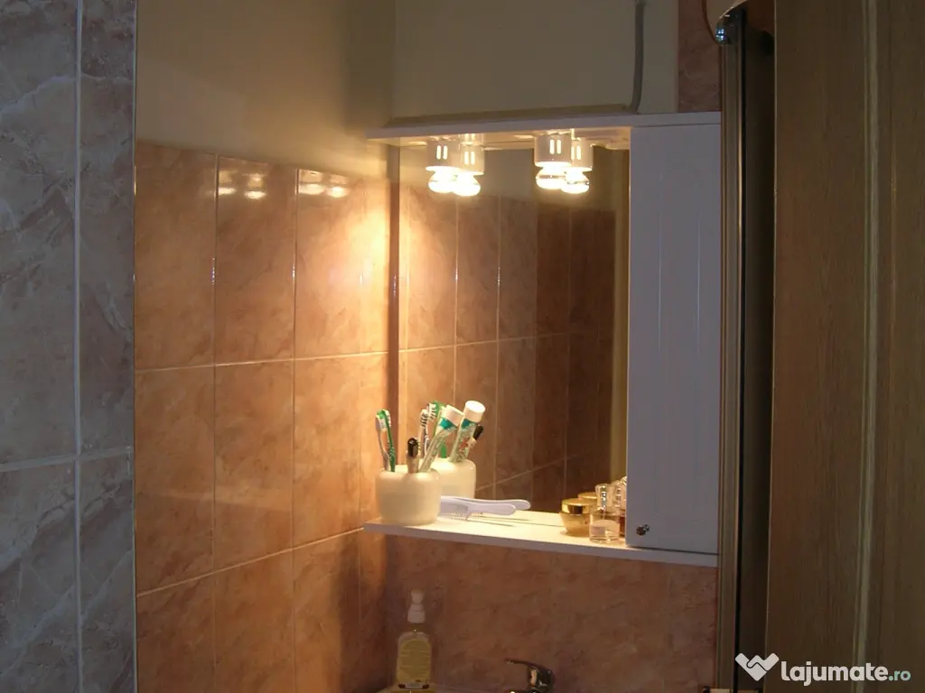 Apartament 1 camera central Podgoria 