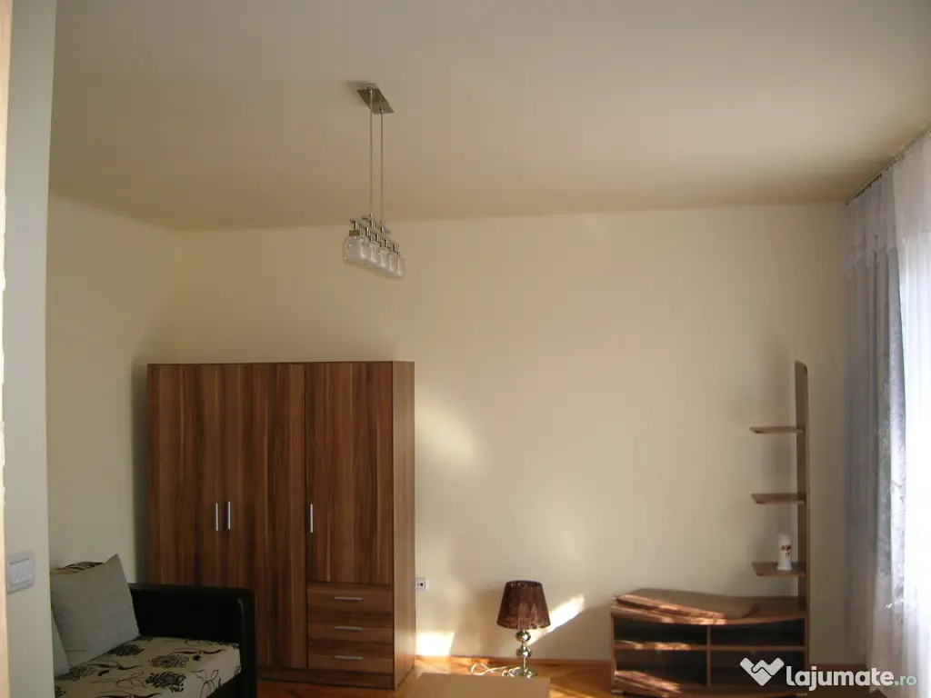 Apartament 1 camera central Podgoria 