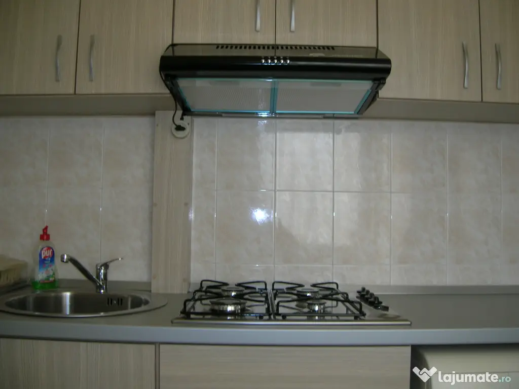 Apartament 1 camera central Podgoria 