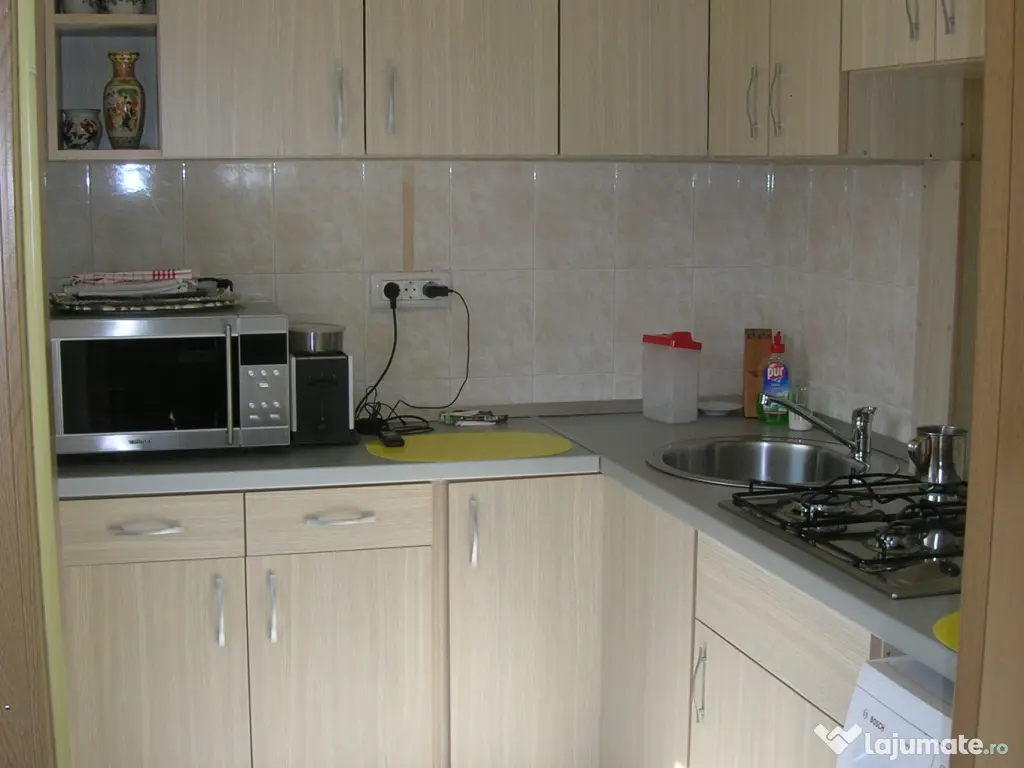 Apartament 1 camera central Podgoria 