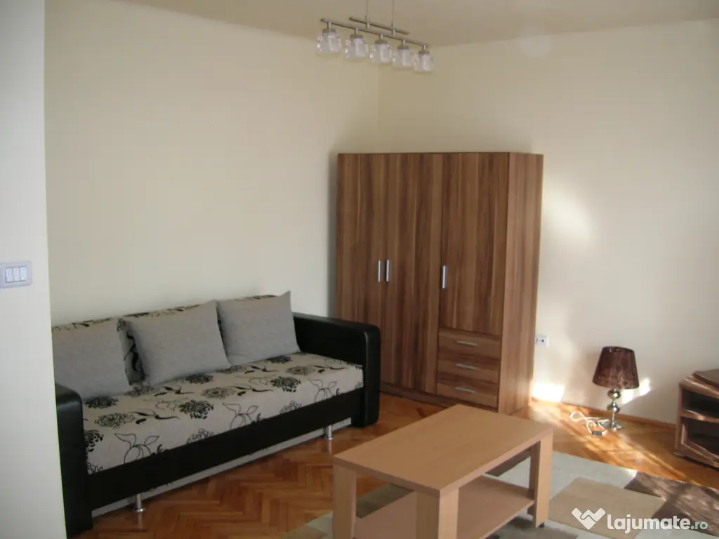 Apartament 1 camera central Podgoria 