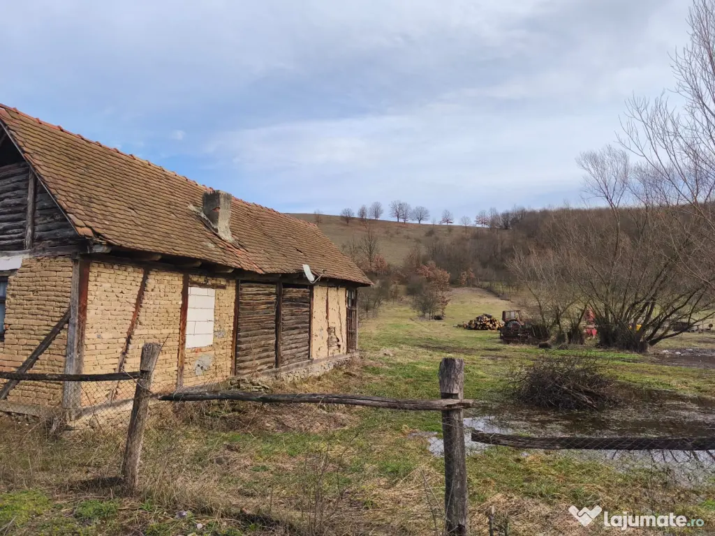 Teren în Julița, zonă centrală 