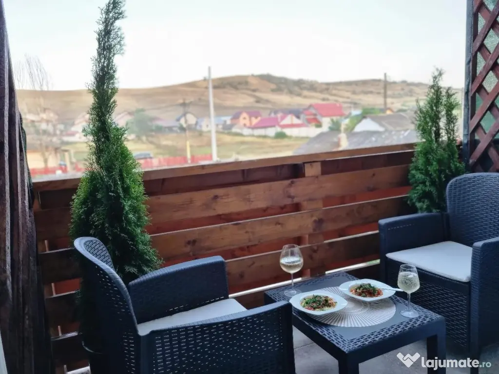 Cabana 15 persoane | 7 camere | 6 băi | Living pentru petreceri | Terase  Grătar 