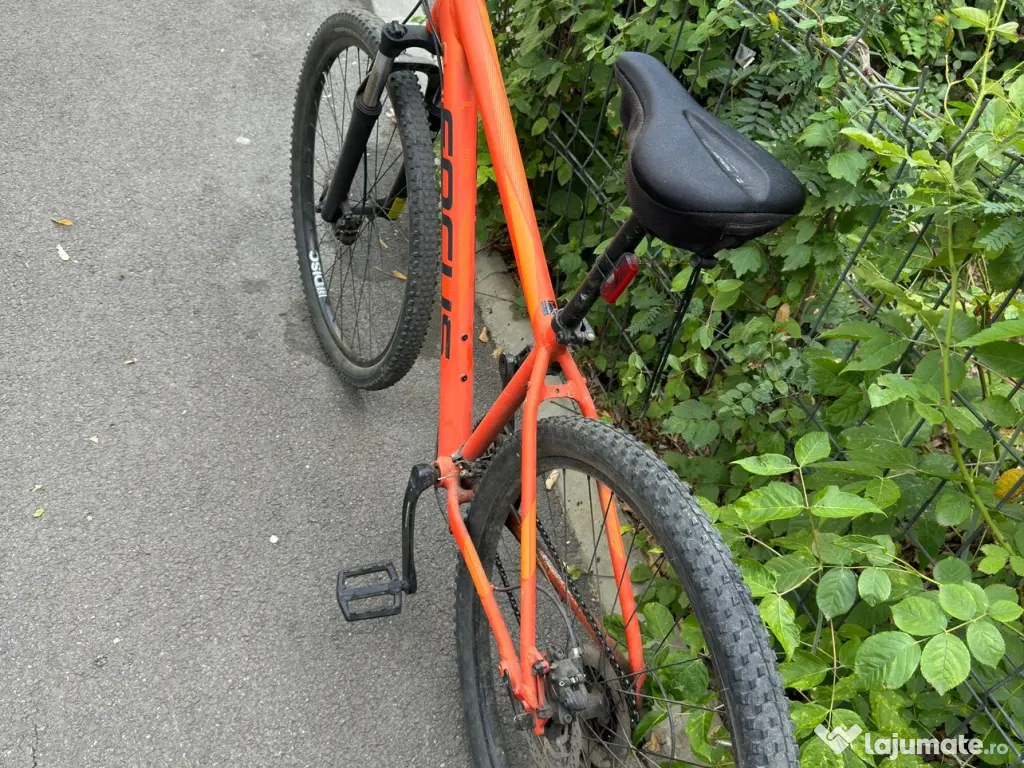 Bicicletă MTB Focus, roți 29", stare excelentă, calitate germana 
