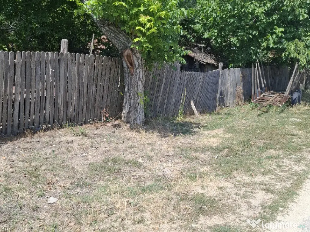 Casa cu teren sat Răduțești, com. Ciomăgești, jud. Argeș 