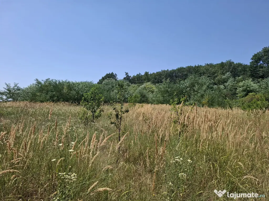 Casa cu teren sat Răduțești, com. Ciomăgești, jud. Argeș 