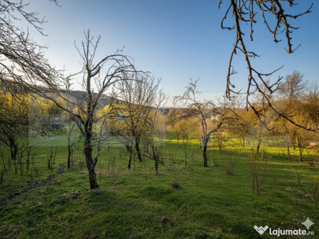 Teren intravilan, 9066 mp, zona Aninoasa 