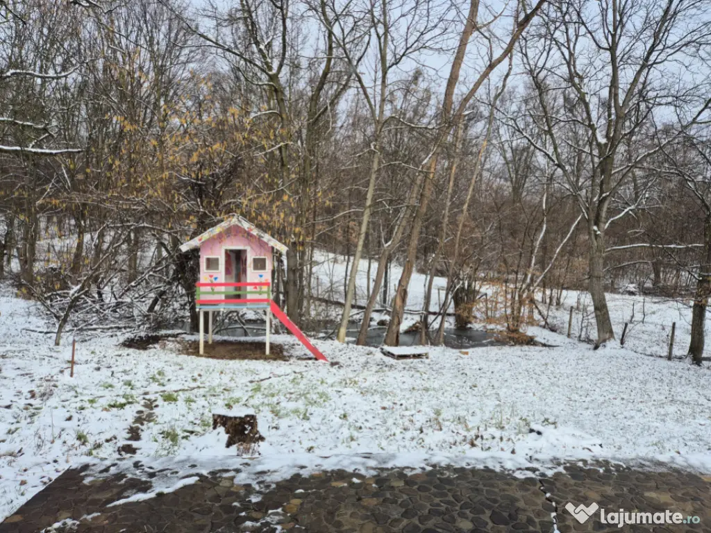 Moșia boierească din vârf de deal, Scorțeni - Prahova, c 