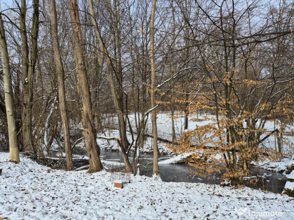 Moșia boierească din vârf de deal, Scorțeni - Prahova, c 