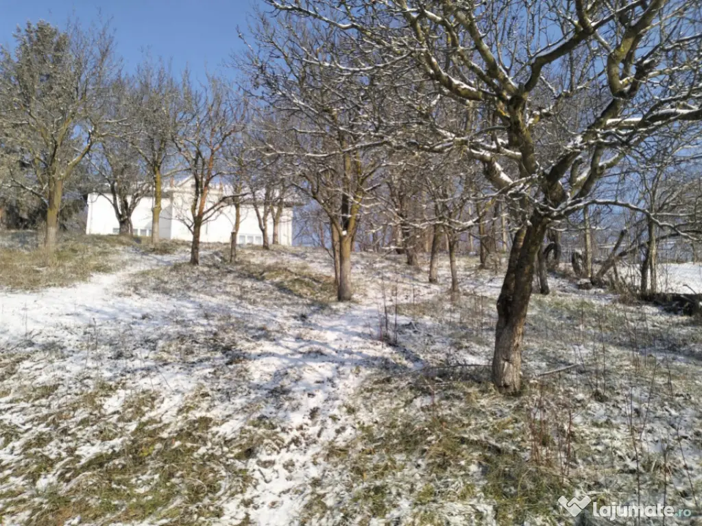 Moșia boierească din vârf de deal, Scorțeni - Prahova, c 