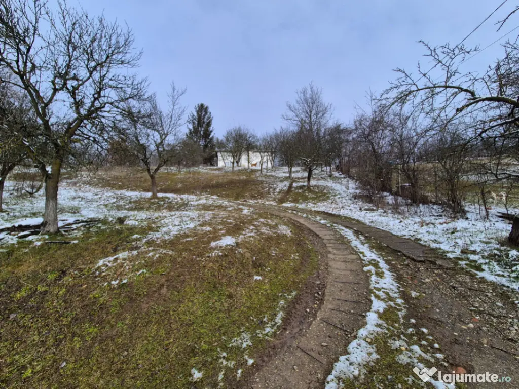 Moșia boierească din vârf de deal, Scorțeni - Prahova, c 