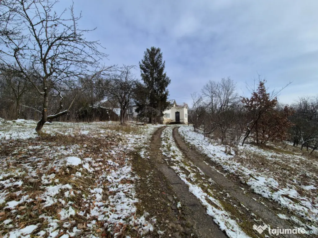 Moșia boierească din vârf de deal, Scorțeni - Prahova, c 