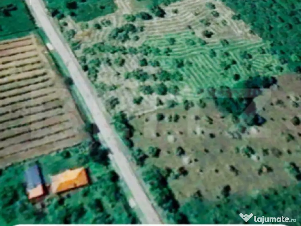 Teren intravilan 10.000 mp | Deschidere 40 m | Zonă de păd 