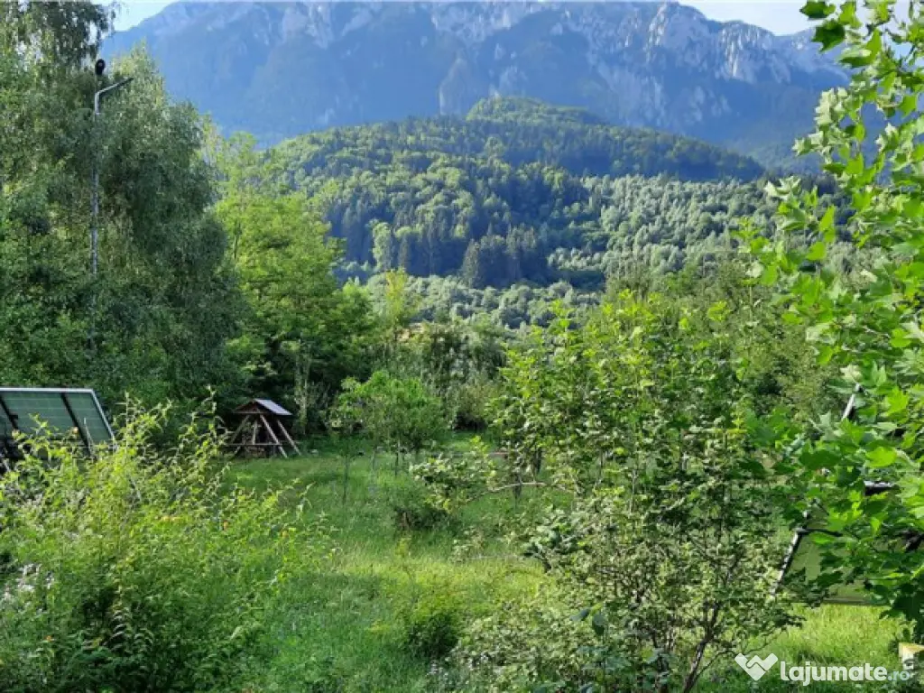 In cartea de povesti a Pietrei Craiului, ansamblu turistic i 