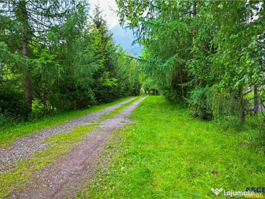 In cartea de povesti a Pietrei Craiului, ansamblu turistic i 
