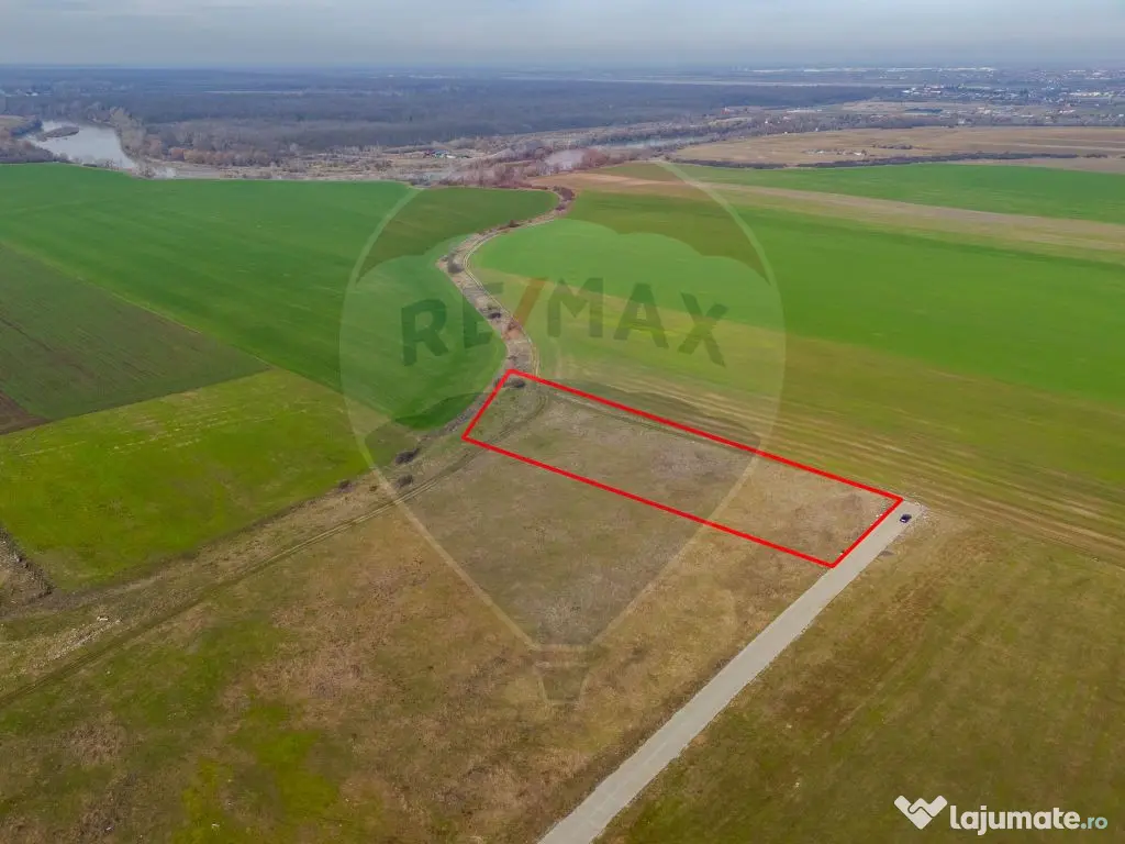 Teren intravilan 10.000 mp în Zona Industrială Sud Arad 