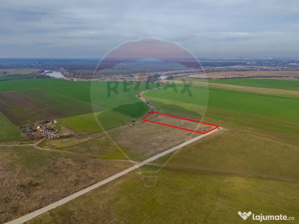 Teren intravilan 10.000 mp în Zona Industrială Sud Arad 