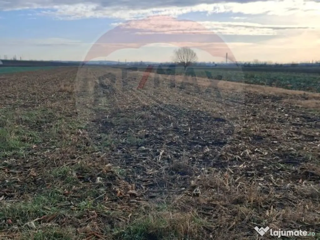 Teren intravilan 3400mp de vânzare la Sântion 