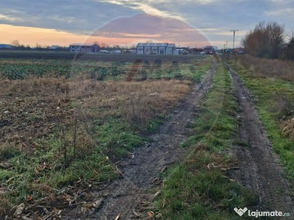 Teren intravilan 3400mp de vânzare la Sântion 