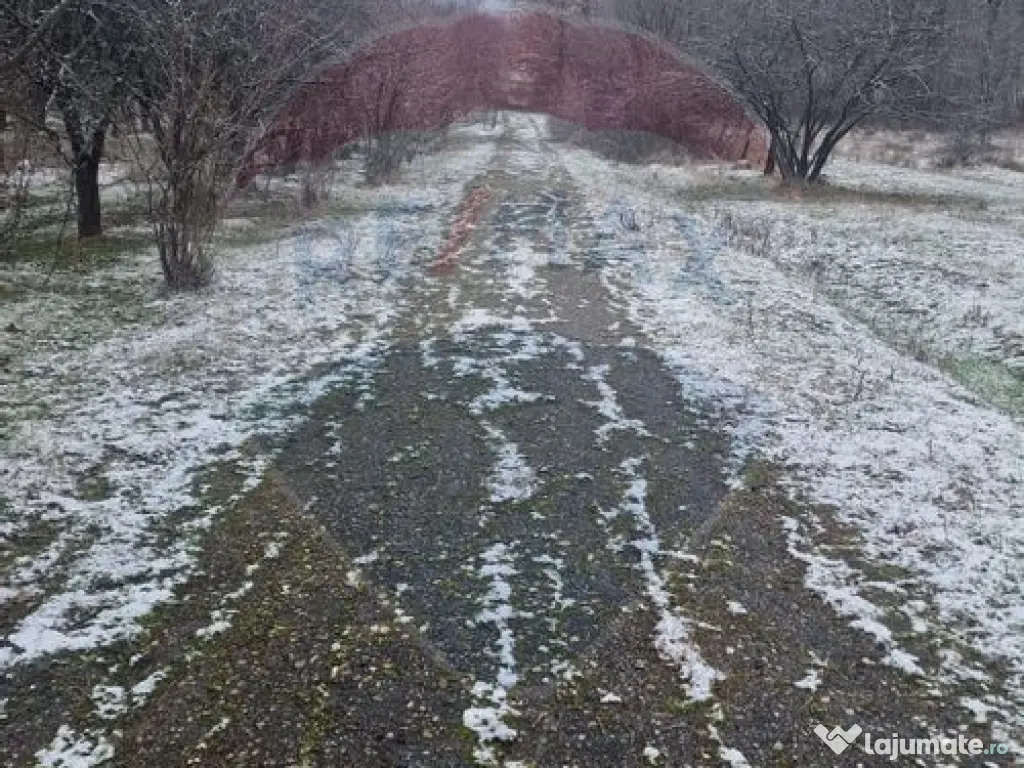 Teren 5,700mp Somcuta Mare / investitie cu potential major 