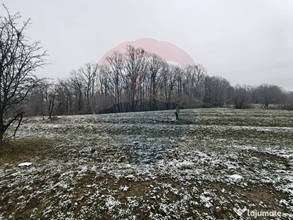 Teren 5,700mp Somcuta Mare / investitie cu potential major 