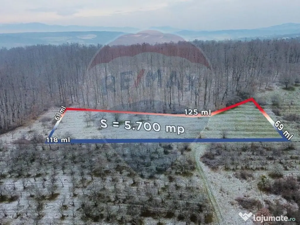 Teren 5,700mp Somcuta Mare / investitie cu potential major 