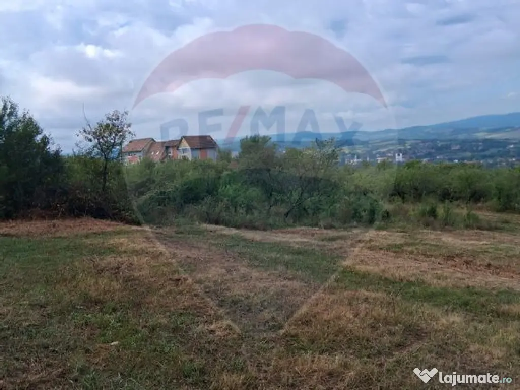 Teren 5,700mp Somcuta Mare / investitie cu potential major 