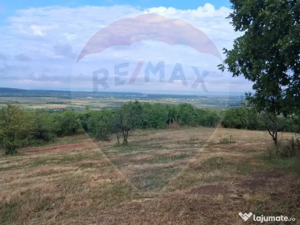 Teren 5,700mp Somcuta Mare / investitie cu potential major 