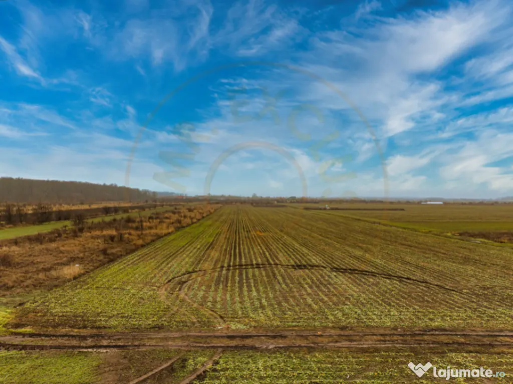 Teren intravilan 5040 mp, deschidere dubla 