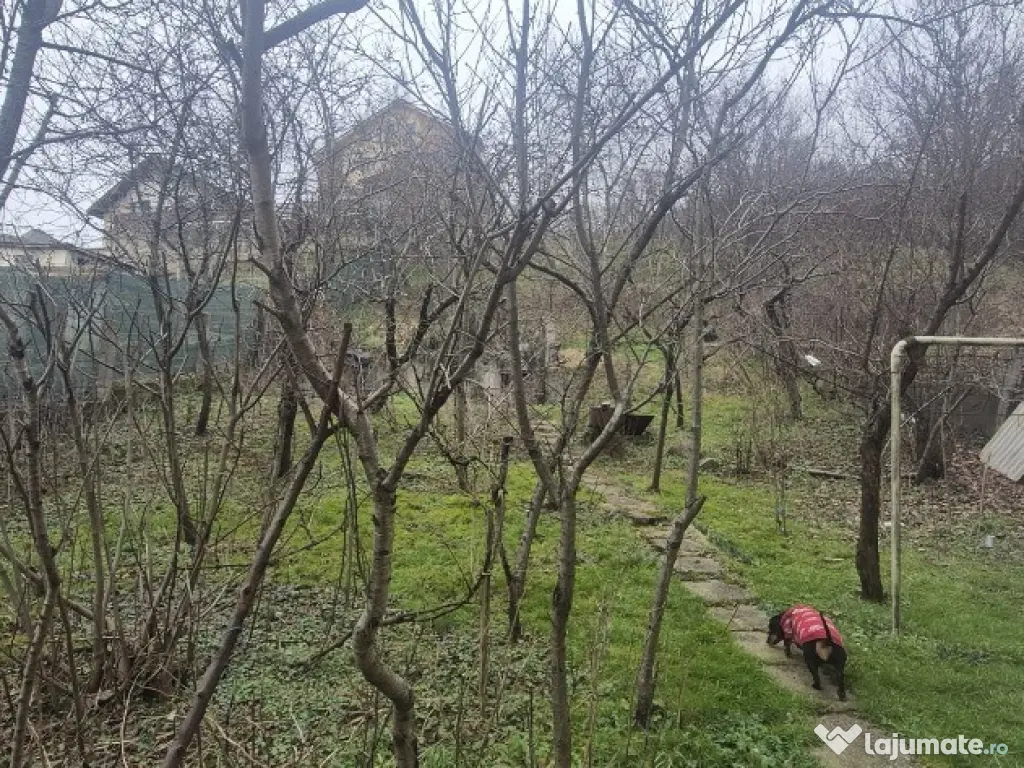 Zona TBC, casa cu etaj , 10 ari teren 