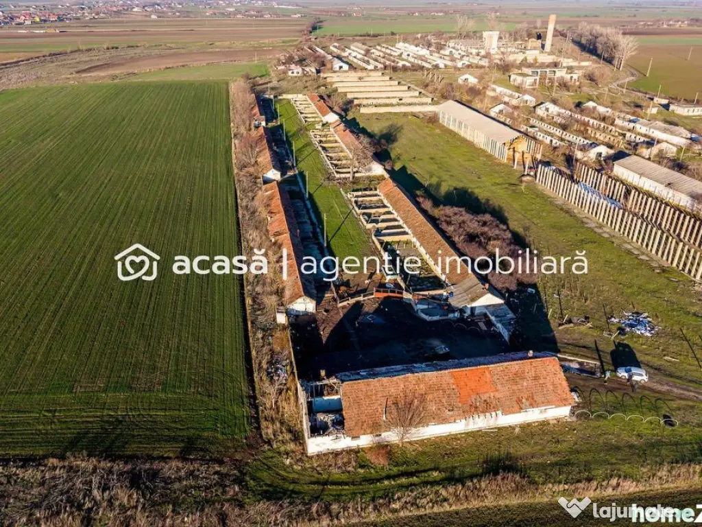 NĂDLAC | Teren 1.15 HA lângă Autostradă | 2.500mp Hale 