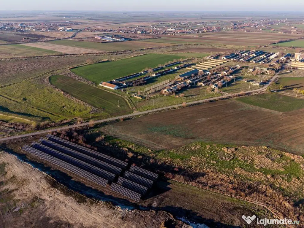 NĂDLAC | Teren 1.15 HA lângă Autostradă | 2.500mp Hale 