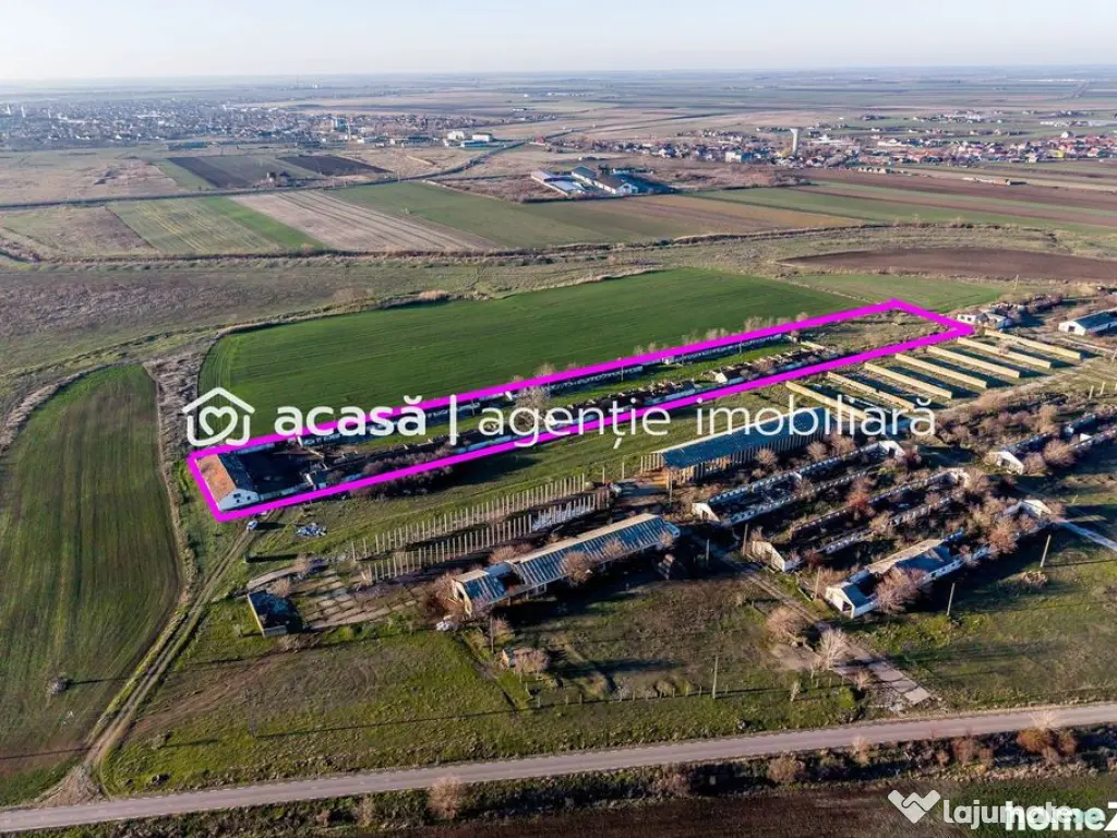 NĂDLAC | Teren 1.15 HA lângă Autostradă | 2.500mp Hale