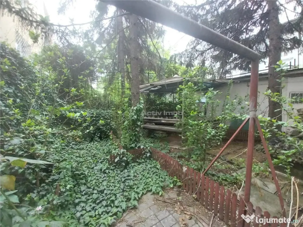 Casa / Vila 350 mp - Cismigiu / Strada Cri#537;ana 