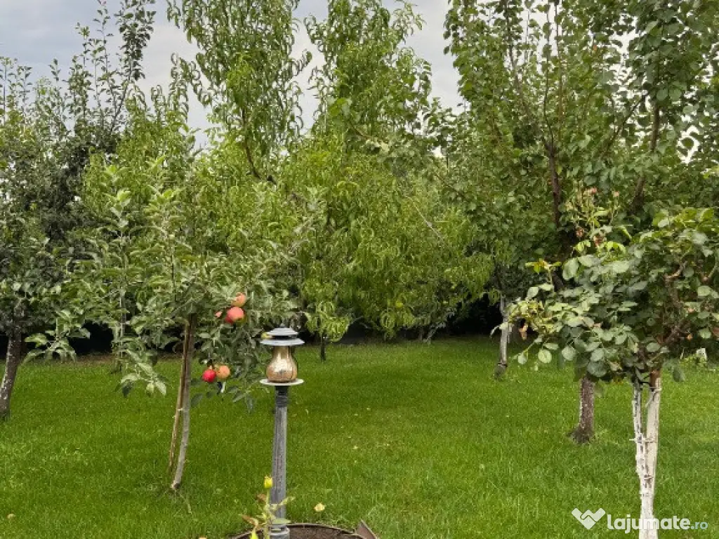 Vila premium PETRESTI, Corbeanca 